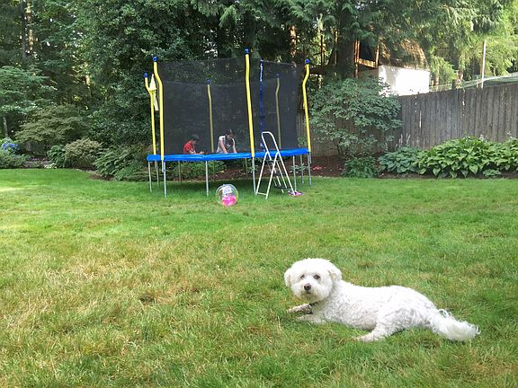 12’ trampoline for fun 