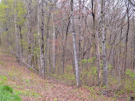 3rd image of 1 Overlook Trl Lot 1C