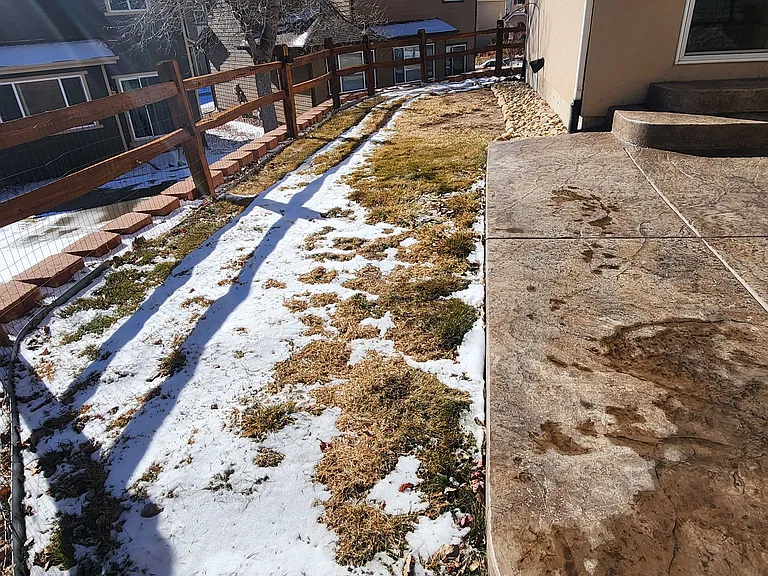 Small Back Yard