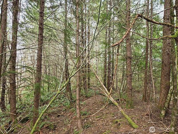 5th image of 0 Off of Hoquiam Wishkah Road