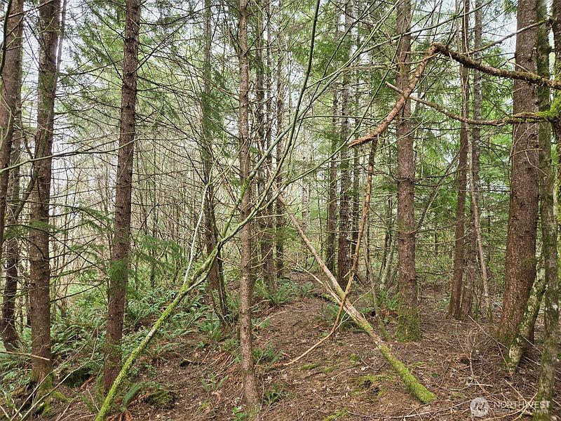 5th image of 0 Off of Hoquiam Wishkah Road