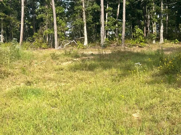 849-889 Pres Rd, Dennard, AR 72629