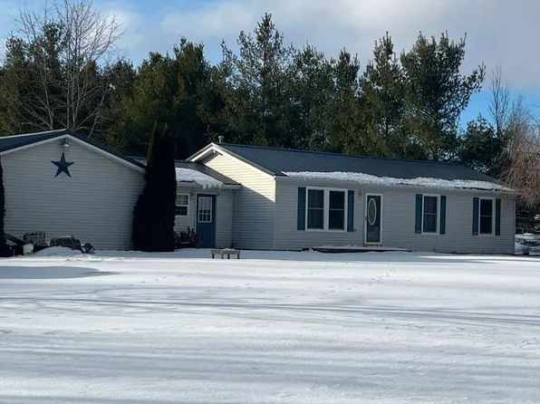 8036 Arendt Rd, Melvin, MI 48454