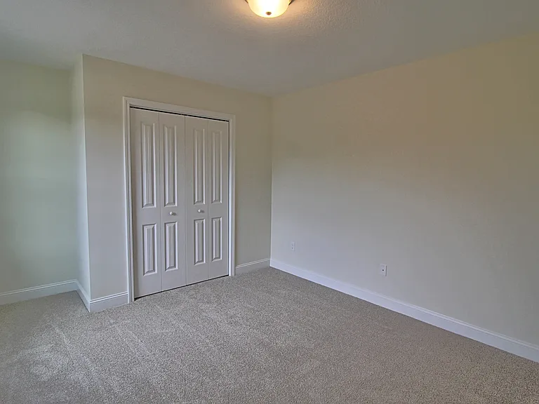 149 Franklin Tree Dr — Photo 15