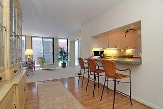 5th image of 200 E Delaware Pl APT 4C