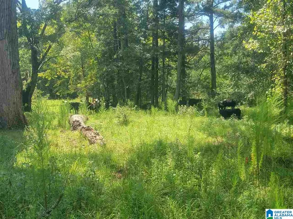 Highway 25, Wilsonville, AL 35186