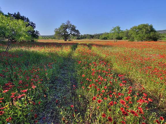 4th image of 3108 County Road 216