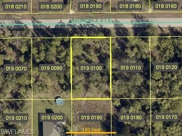 896 Avondale ST E, LEHIGH ACRES, FL 33974