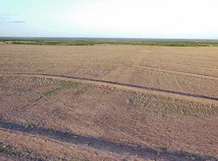 0 County Road 393, Miles, TX 76861