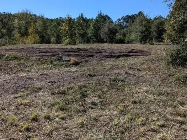 LOT 98 King George Way SE, Townsend, GA 31331