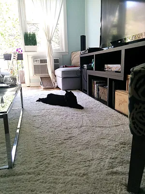 Rented by Zikos Realty Services | media 16