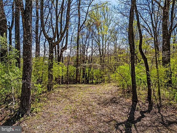 3rd image of LOT 8 Little River Tpke