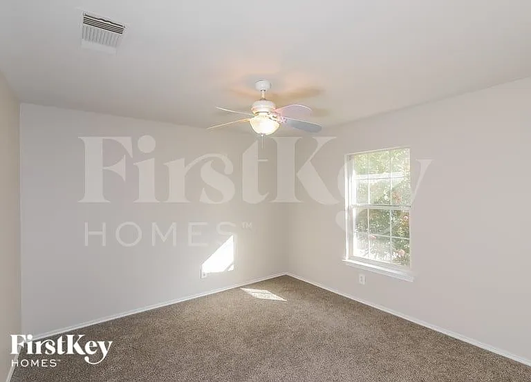 7504 Forest Fern — Photo 11