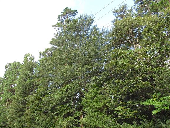 4th image of 140 Oak Hollow Blvd