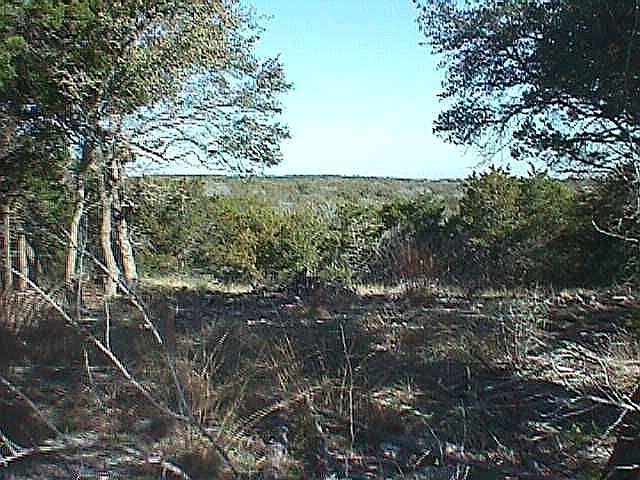 Center view 