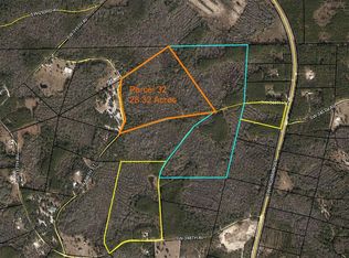 SW 846th St, Steinhatchee, FL 32359