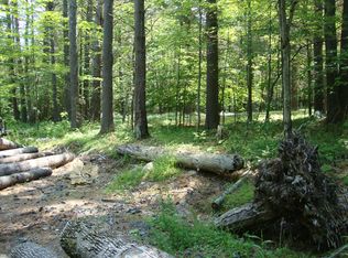 0 Tifani Ln, Long Lake, NY 12847