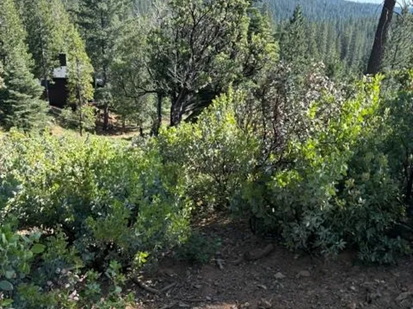 1088 Greensboro Way, Arnold, CA 95223