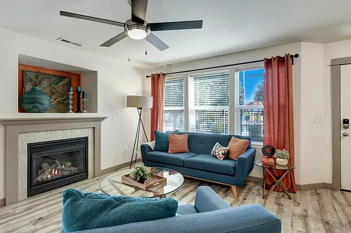 Cozy Living Room with Gas Fireplace and Chic Decor