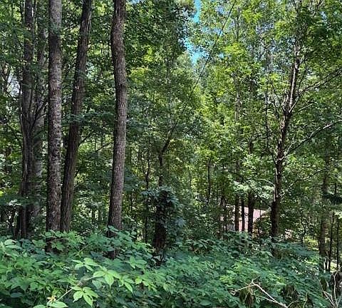 4th image of LOT 49 Rocky Ridge Rd