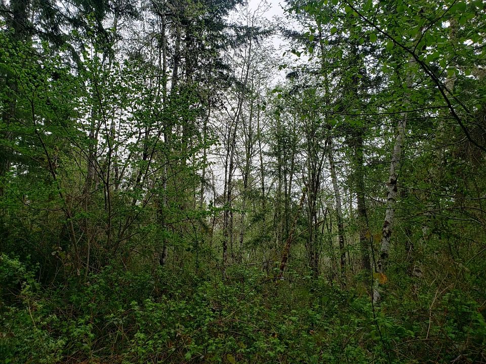 1st image of 0 196th Ave NW