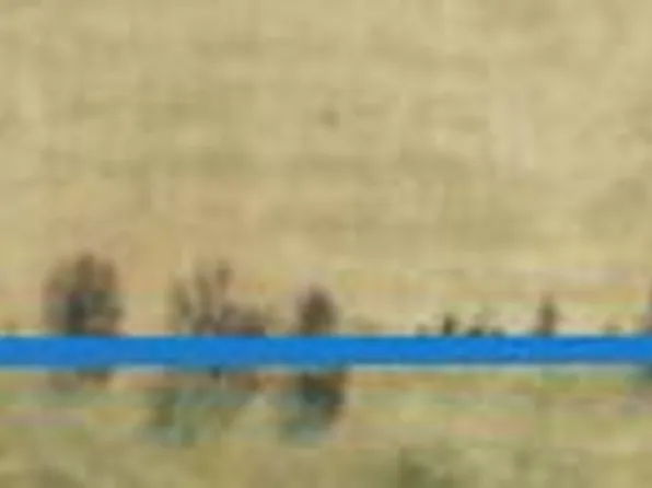 Tbd Highway Pp, Cabool, MO 65689