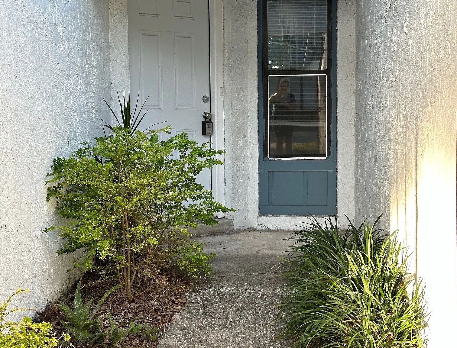 3 bed, 1240 sqft, $2,050 — Photo 2