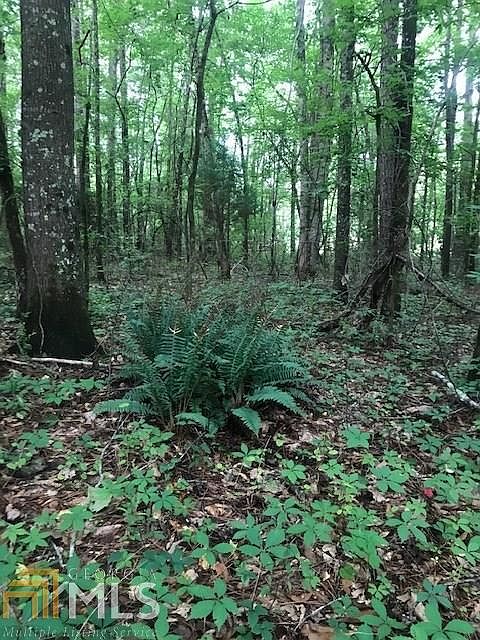 1st image of 1386 Coleman Creek Cir