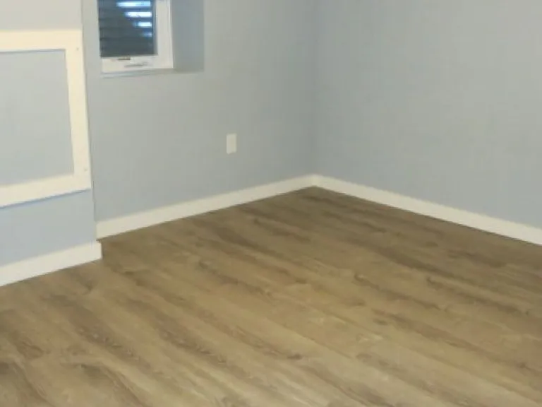 Basement Bedroom #4 $660 11.3' X 14' walk in closet