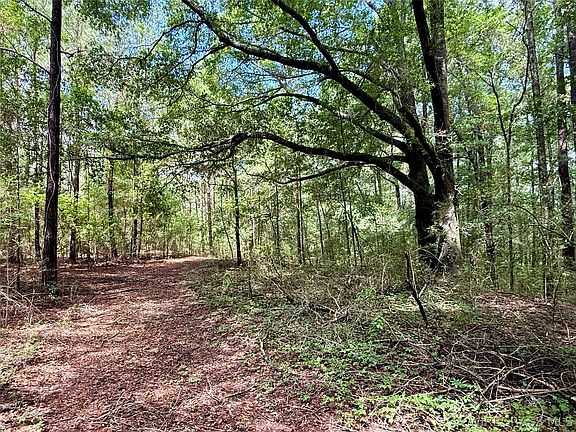 4th image of Private Road 1702