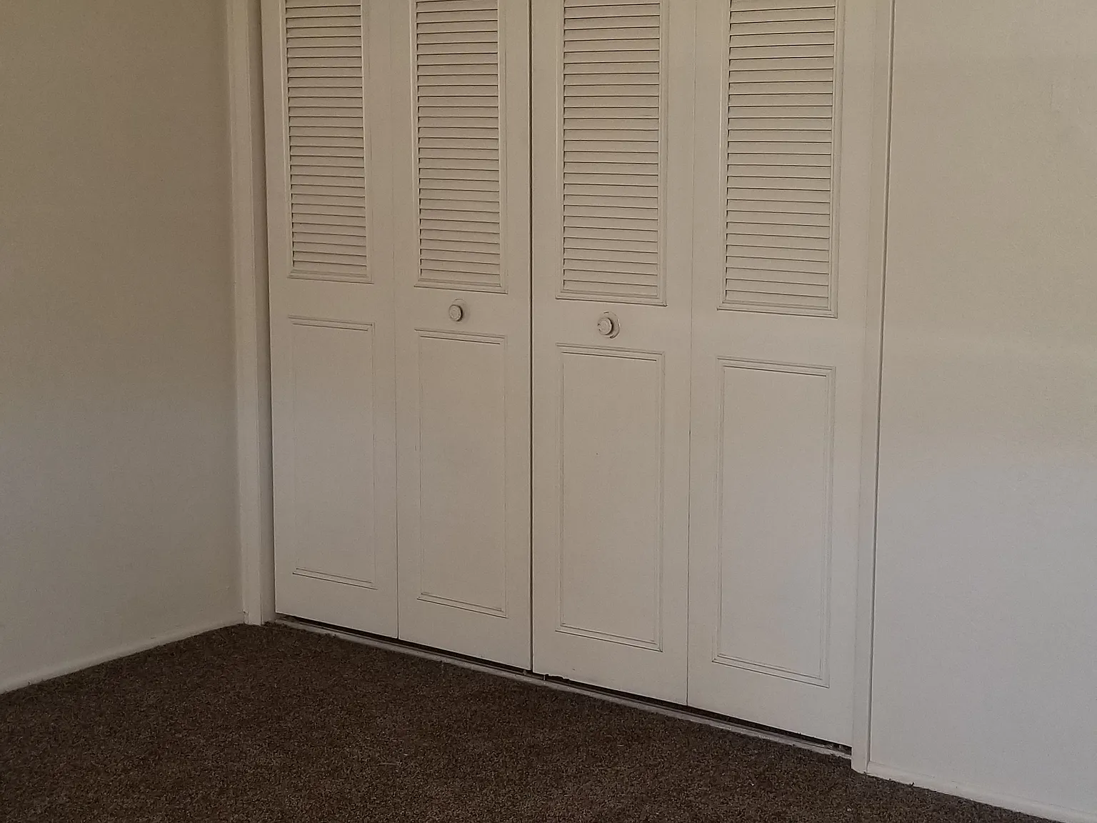 2 bed, $1,250 — Photo 3