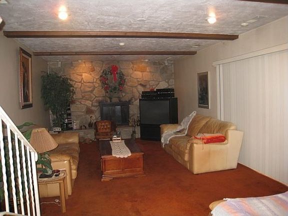 Family Room (lower level)