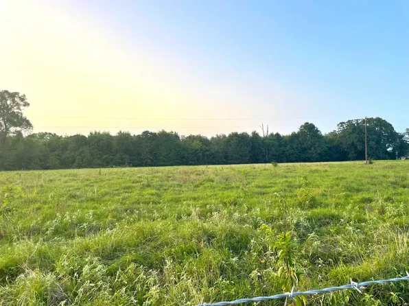 County Road 3310 S, Avery, TX 75554