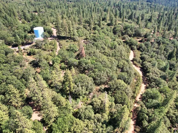 1233 Cedar Hill Rd, Mokelumne Hill, CA 95245