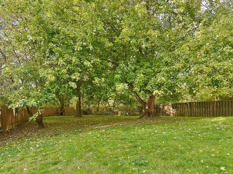 15565 Shirley Cir — Photo 18
