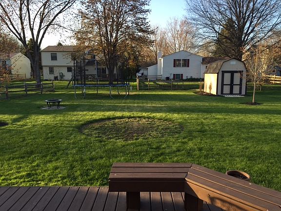 Back yard