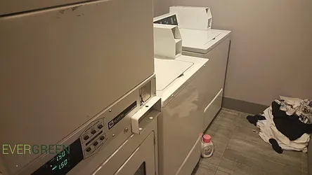 Rented by Evergreen Apartments BK