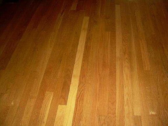 5th image of 1911 Casa Grande Dr APT B