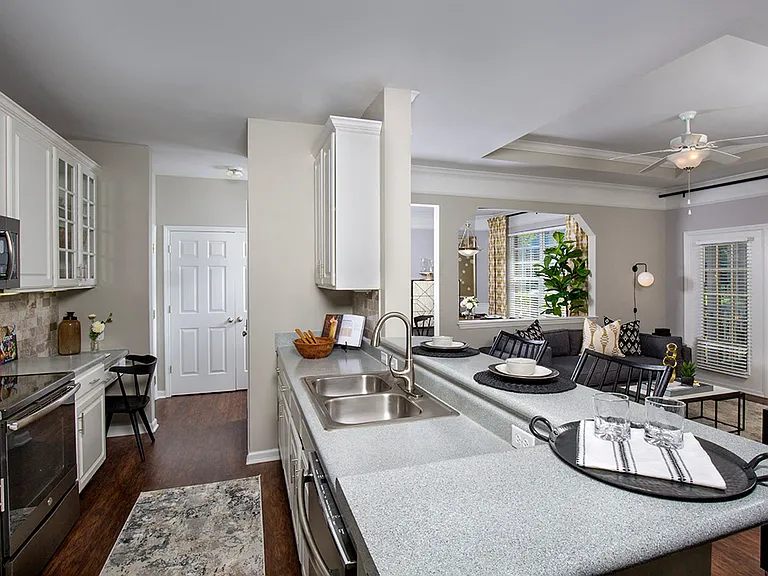 Open-concept kitchen and living room
