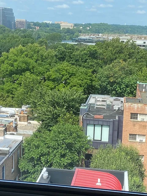 Studio, 420 sqft, $1,900 — Photo 2