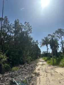 3 RIO GRANDE DR, Bonita Springs, FL, 34135