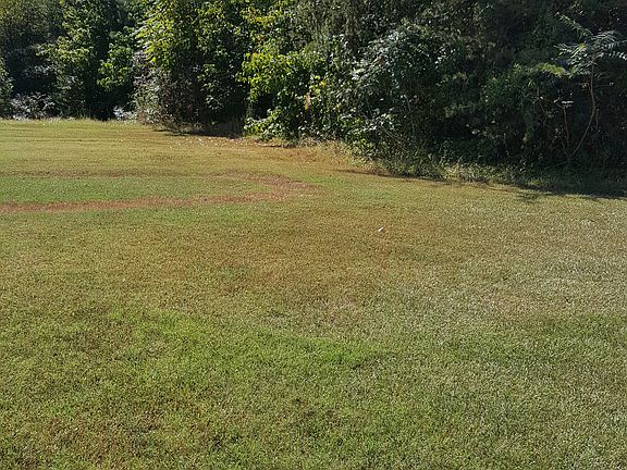 Privacy abounds in this yard