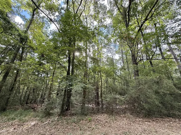 LOT 986 Bowline Dr, Hemphill, TX 75948