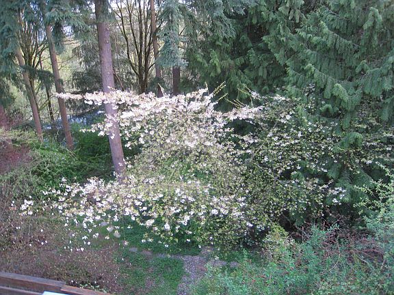 5th image of 19521 44th Ave NE