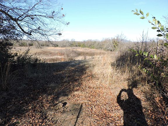5th image of 5428 Highway 250