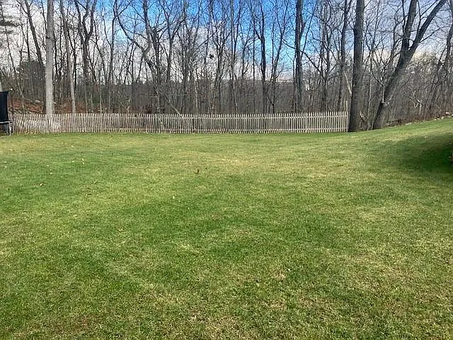 217 William Dr — Photo 29