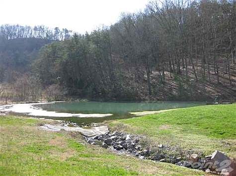 LARGE SPRING FED POND