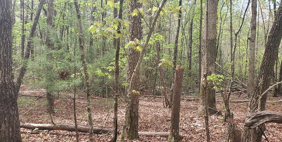 1st image of 36-38 Squirrel Hunting Rd