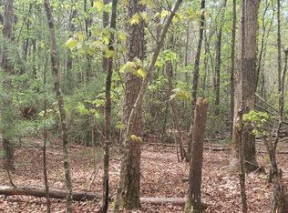 36-38 Squirrel Hunting Rd, Ellijay, GA 30536