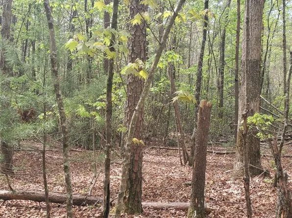36-38 Squirrel Hunting Rd, Ellijay, GA 30536